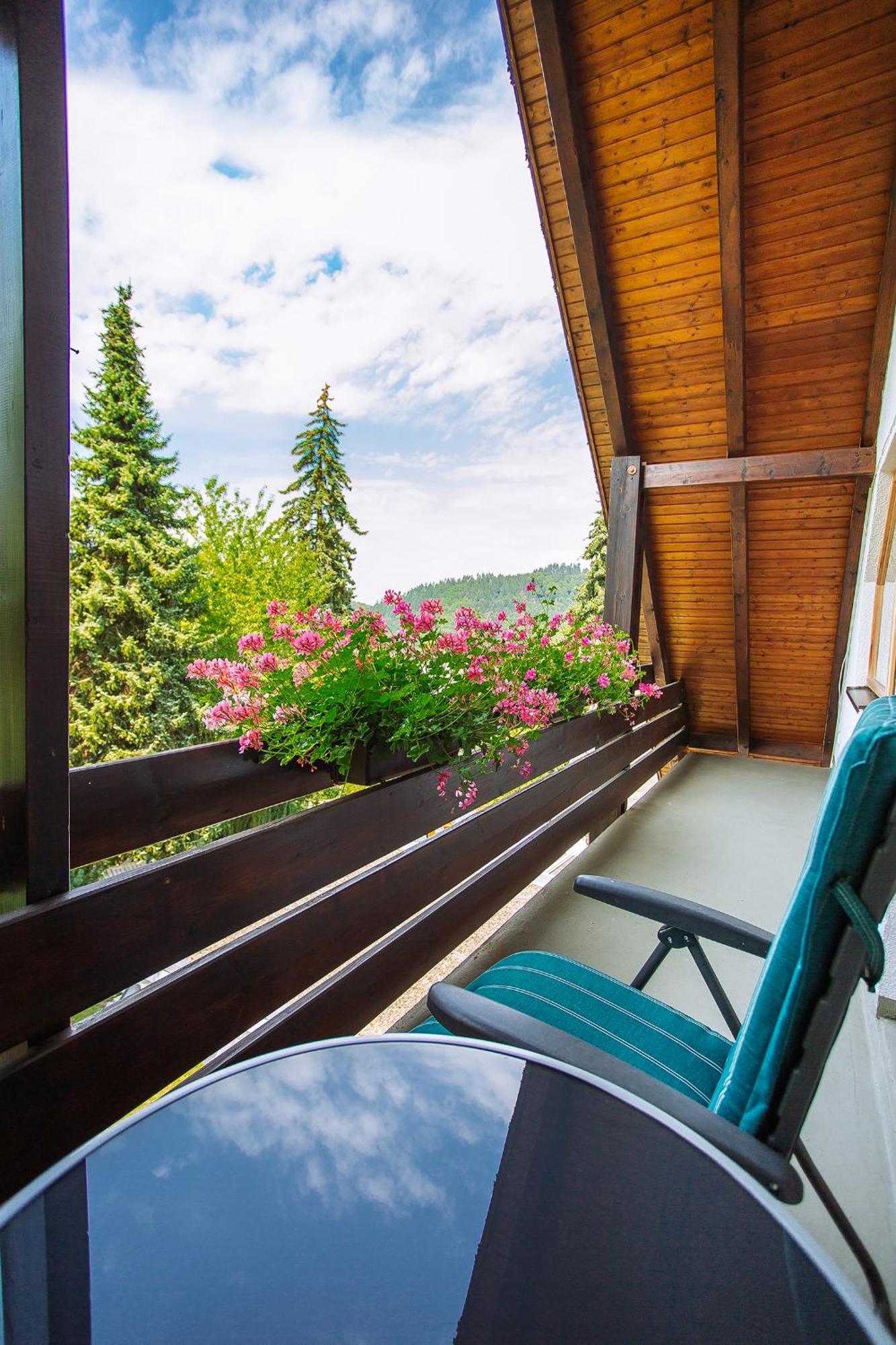 Apartment Am Tannenweg Баденвайлер Экстерьер фото
